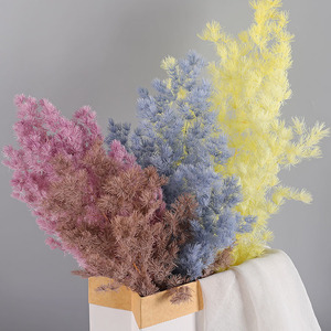 Venta al por mayor de fábrica: Aspargos <span class=keywords><strong>naturales</strong></span> Myrioeladus, plantas secas y preservadas, pino para decoración del hogar, arreglos florales, a granel. - Product Image 2