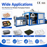 Machine de thermoformage PVC entièrement automatique à commande PLC avec pompe à engrenages pour assiettes alimentaires jetables, conteneurs PS PET et barquettes à œufs