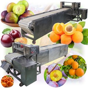 Máquina Deshuesadora de Fruta de Albaricoque de Alta Calidad, Máquina Eléctrica para Quitar Semillas de Fruta, Máquina para Quitar Huesos de Albaricoque y Aceitunas - Product Image 1
