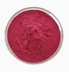 Poudre d'extrait <span class=keywords><strong>de</strong></span> canneberge <span class=keywords><strong>de</strong></span> qualité alimentaire, riche en proanthocyanidines, soutien antioxydant, complément alimentaire pour la santé des femmes - Product Image 1