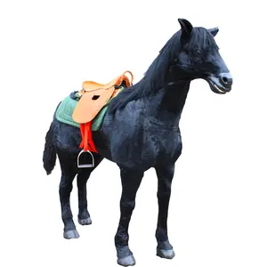 I prodotti esportati <span class=keywords><strong>a</strong></span> <span class=keywords><strong>cavallo</strong></span> della macchina <span class=keywords><strong>a</strong></span> piedi <span class=keywords><strong>cavallo</strong></span> meccanico per la vendita - Product Image 1