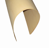Contreplaqué flexible courbé 1220x2440mm 8/9/12mm pour meubles modernes et artisanat, qualité supérieure