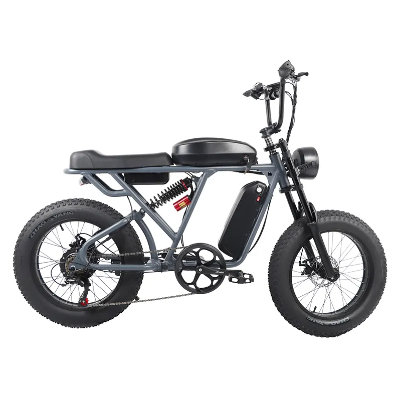 Us Eu Stock Hot Enduro Ebike Chopper Fietsen 15ah 30ah 750W 1000W 20 "Elektrische Dikke Band Hybride Fiets Voor Snow Beach Cruiser