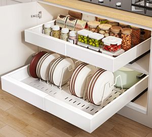 2 Pack Kitchen Pull Out Expandable Sheet Metal Pot <b>Rack</b> Pull-Out Spice Dish <b>Plate</b> Drying Storage <b>Rack</b> Organizer Set for Cabinets - Product Image 1