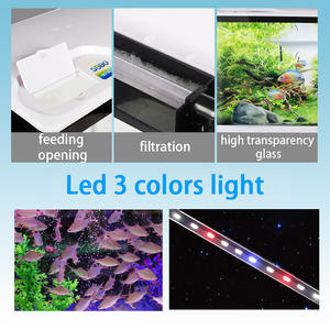 Woonkamer salontafel blad landschapsarchitectuur <span class=keywords><strong>aquarium</strong></span> mini viskom helder tafel <span class=keywords><strong>aquarium</strong></span> - Product Image 6