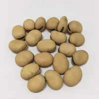 Bán Đậu Khô Fava Beans