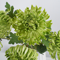 Direct van de fabriek: groothandel in kunstmatige chrysantenboeketten met 5 bloemen voor bruiloften, hotels en vaasdecoratie.