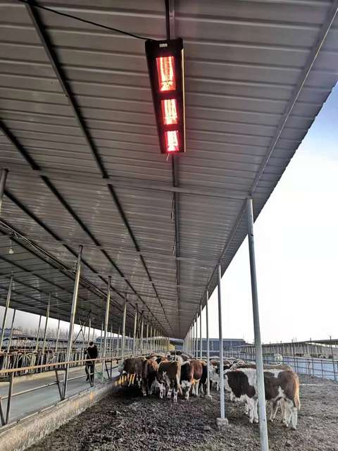 Ceiling Type Infrared Radiant Heater for Warehouse Workshop Industrial Heating