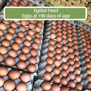 Premezcla Compuesta de 25 kg de Grado Alimenticio con Aminoácidos, Vitaminas, Minerales y Oligoelementos para Gallinas Ponedoras, Apoya la Salud Intestinal - Product Image 5