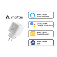 2024 Matter Smart Home EU Standard Alexa Google Homekit Prise WiFi Prise intelligente Matter Plug avec minuterie de surveillance de l'énergie