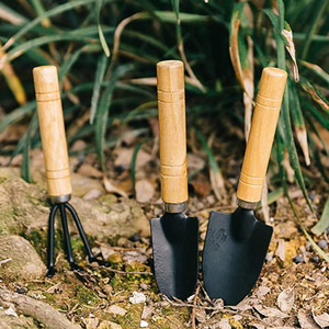 Famille de plantation de fleurs en pot ensemble d'outils de jardinage 3 pièces pelle râteau jeu d'outils de plantation de pelles - Product Image 4