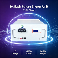 Batterie LiFePO4 montée en rack, optimisée pour l'espace, 51,2 V 314 Ah 16,1 kWh, LCD, CAN/RS485, extension parallèle, 6000 cycles pour l'énergie solaire