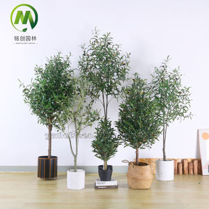 Nuevo Olivo Artificial de Interior, Bonsái de Plástico con Hojas de Seda, Plantas de Olivo Ornamentales para Vestíbulo y Jardín - Product Image 1