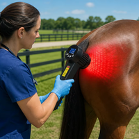 Thérapie laser pour animaux, baguette de soulagement de la douleur arthritique pour chiens, LLLT (thérapie laser de faible intensité), traitement des articulations des chevaux, usage médical vétérinaire