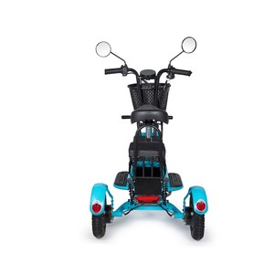 Tricycle électrique Jiuxin, 10 pouces, motorisé, pliable, trois places, pour usage familial, avec panier et porte-bagages arrière - Product Image 3