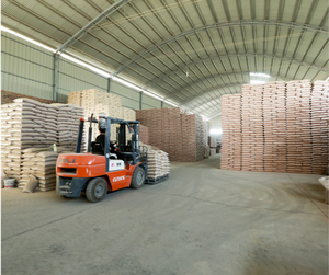 Lézard lion barbu fin Gecko Scorpion tortue <span class=keywords><strong>sable</strong></span> décoratif pour l'aménagement paysager <span class=keywords><strong>du</strong></span> désert et les fournitures d'alimentation - Product Image 6