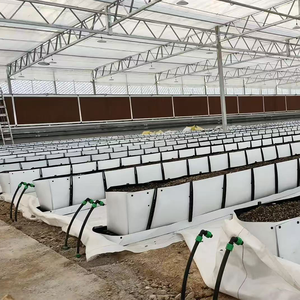 Greenhouse Use PP Soilless Cultivation Growing <strong>Trough</strong> for <strong>Vegetables</strong> Roses Cut Flowers Agriculture - Product Image 1