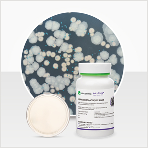 Aiculture * Salmonella Chromogenic <span class=keywords><strong>Agar</strong></span> pour la détection et l'isolement des espèces de Salmonella, y compris <span class=keywords><strong>S</strong></span>. Typhi et <span class=keywords><strong>S</strong></span>. Paratyphi. - Product Image 5