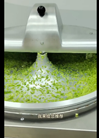 Falcon Automatische Hoge Efficiëntie Elektrische Vlees/Fruit/Maïs/Groente Bloemmolen Hakselaar Snijmachine Bakkerij Gebruik Motor
