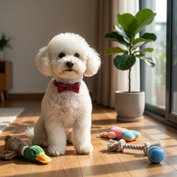 Ensemble de colliers en cuir du fabricant – Accessoires élégants pour animaux de compagnie (chats et chiens) – Laisse et collier de luxe pour chiots et grands chiens – Durables