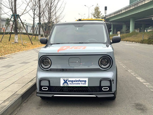 Nuovissimo Geely <span class=keywords><strong>Panda</strong></span> MINI Kart 2025 in Offerta |   <span class=keywords><strong>Auto</strong></span> Elettrica Pura con Guida a Sinistra, Autonomia di 210 km |   <span class=keywords><strong>Auto</strong></span> Ecologica Certificata EEC con Spedizione Globale - Product Image 2