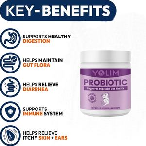 थोक मूल्य आहार फाइबर और आंत स्वास्थ्य समर्थन पालतू जानवरों की खुराक और सभी नस्लों के लिए विटामिन कुत्ते प्रोबायोटिक्स - Product Image 2