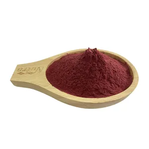 Hersteller liefern getrocknetes Rüben wurzel pulver Rote-Bete-Extrakt Bio-Rote-Bete-Pulver