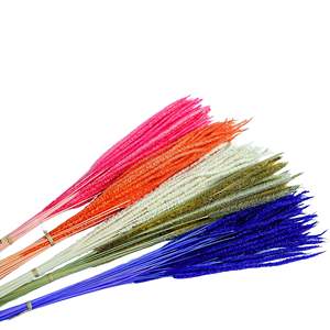 Échantillons gratuits de sétaire jaune naturel Setaria <span class=keywords><strong>Pumila</strong></span> vraies fleurs d'herbe de Kirin séchées pour la fête des mères et Noël - Product Image 1