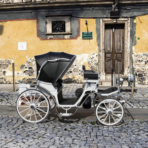 Carruaje Real de Caballos - Product Image 4