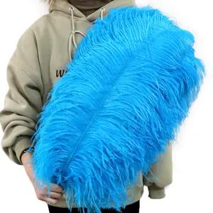 Penas de avestruz plumas multicoloridas para casamento, carnaval e festas de artesanato, penas grossas brancas de 65-70 cm por atacado