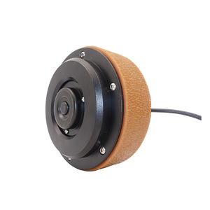 Nuevo motor de cubo Bibo Fulling de 15 N.m WS55L-15A110C-MGGA05 con eje de un solo lado y conmutación por escobillas para ruedas de robot - Product Image 2