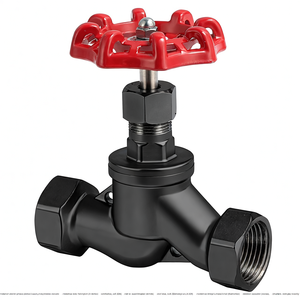 Válvula de Globo Manual DIN Roscada de Acero Fundido al Vapor, Multi-Tamaño, Ventana de 90 Días, Marca Covna - Product Image 5