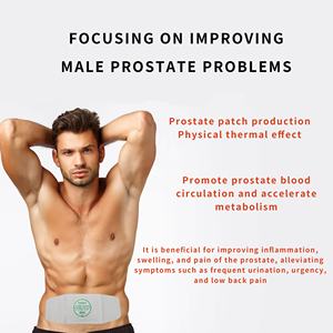 Patch thermique pour la <span class=keywords><strong>prostate</strong></span> à base de plantes naturelles Zhushi pour hommes - Antirhumatismal 9cm*11cm Plâtre chinois blanc - Product Image 4