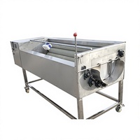 Mesin Cuci Sayur dan Buah Otomatis WLC 4kw, Stainless Steel, untuk Mengupas dan Membersihkan Ubi, Talas, dan Kentang Manis