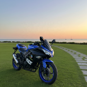 Motocicleta Deportiva Kawasaki Ninja250 Usada de 250cc de Alto Rendimiento, Fabricada en Jiangsu para Entusiastas de la Carrera de Alta Velocidad en <span class=keywords><strong>Pista</strong></span> - Product Image 2