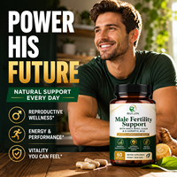 Capsules de soutien à la fertilité masculine OEM, acide D-aspartique, maca, CoQ10, zinc, sélénium, vitamines, complément végétalien à étiquette privée, 60 capsules