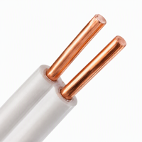 Câble plat isolé en PVC BVVB 2x2.5mm2 2x4mm2 2x6mm2 Conducteur en cuivre pur 450/750V Câble de câblage électrique