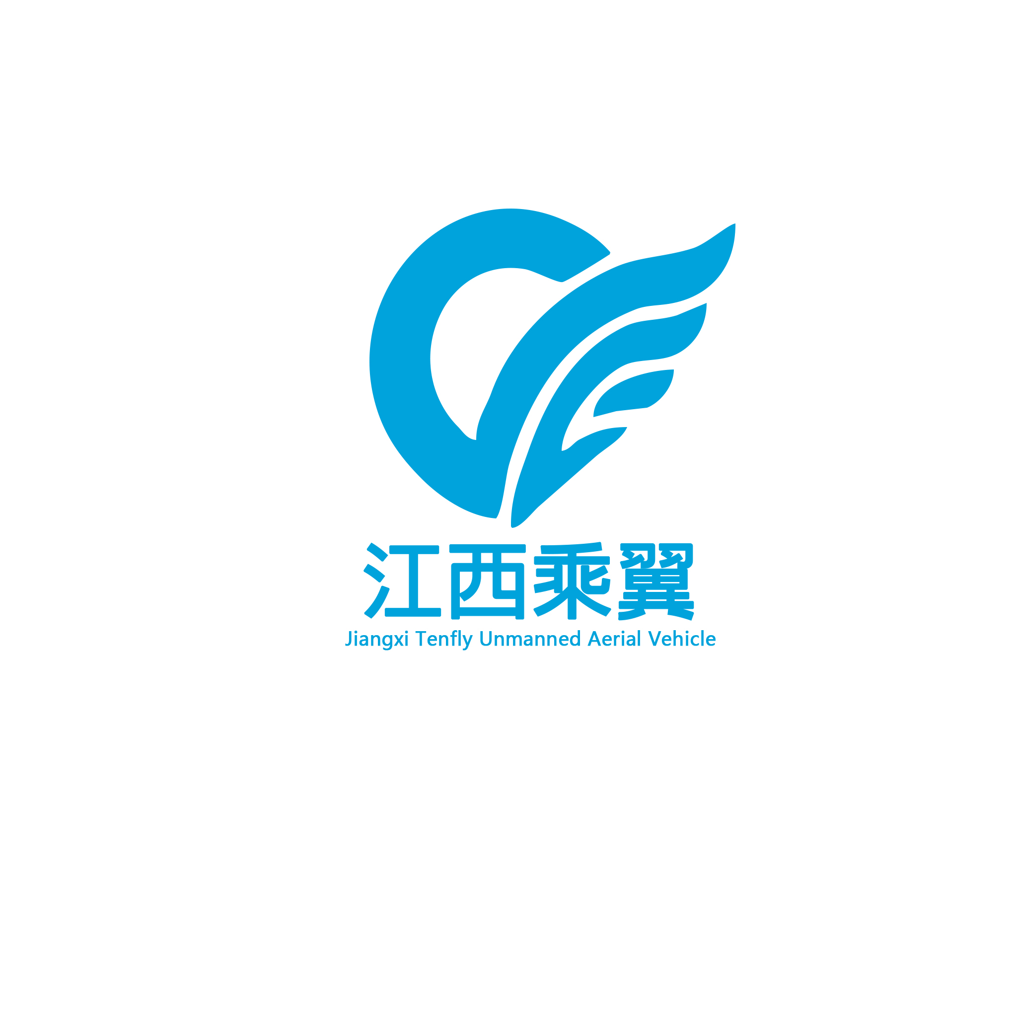 Jiangxi Tenfly Internet Technology Co., Ltd. logo