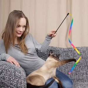 En gros, Baguette interactive arc-en-ciel pour chat avec ruban coloré et breloque, pour chatons - Product Image 6
