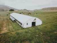 Serre Tunnel Avicole Monosapn Facile à Installer pour Élevage de Poulets de Ferme en Arrière-cour