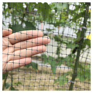 Vente directe d'usine - <span class=keywords><strong>Filet</strong></span> anti-oiseaux en plastique PP pour protéger les cerises et les raisins - Agriculture - Product Image 1