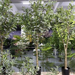 Árbol de olivo artificial natural, decoración para el hogar de lujo, novedad, suministro de fábrica - Product Image 2