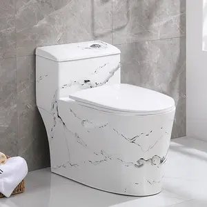 衛生陶器ワンピースサイフォンフラッシングフロアマウント色付きバスルームトイレボウルセラミック大理石トイレ