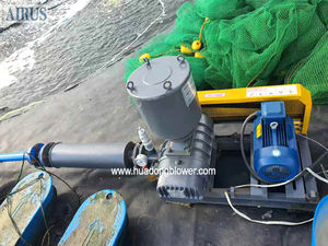 Beluchting Drie Lob Industriële Wortels Blower 3pk 5pk 10pk Zuurstof Leveren Goede Prijs Voor Aquacultuur Viskwekerij Garnalenkwekerij - Product Image 6