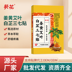 แผ่นแปะสมุนไพรดอกทานตะวัน ขมิ้น โกฐจุฬาลัมพา แองเจลิกา โนโทจินเซน บรรจุ 12 ชิ้น บรรเทาอาการปวดไหล่ คอ เอว ขา - Product Image 3