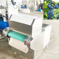 Ligne de traitement de fruits secs surgelés multifonction Machine à piquer les aiguilles pour les baies surgelées