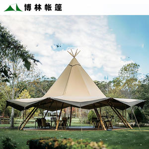Carpa Tipi Grande para Reuniones de Varias Personas, Carpa de Paja Grande, Carpa Pagoda para Ocio - Product Image 2