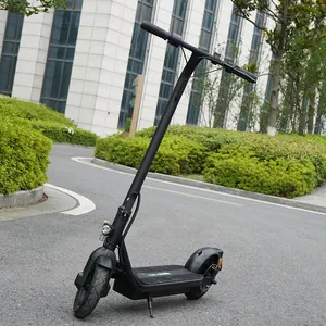 Nouveau Adulte Pliable 250W 350W 10 pouces 2 Roues Vélo Électrique Scooter Étanche Adulte E-Scooter Scooter Électrique À Vendre