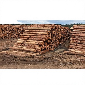 Solid Wood Logs Round Rustic Material for Hotel Furniture Outdoor Use with Contemporary Design and 5+ Year Warranty - Product Image 1