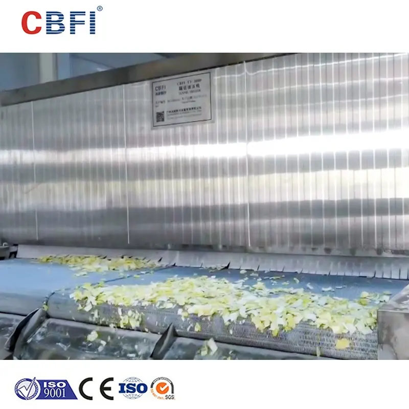 Bamboo Shoots Vegetables IQF Tunnel Freezer